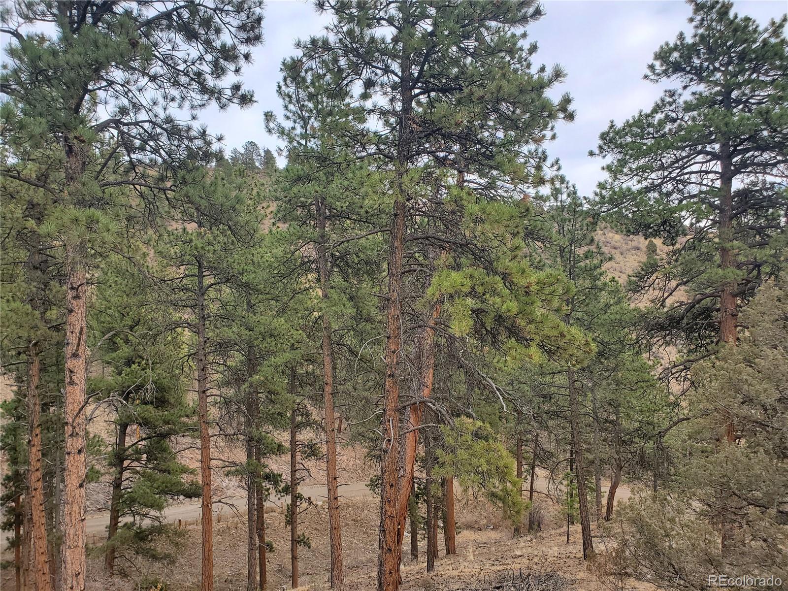 6 Turret Peak Road Pine, CO 80470 - Photo 9 of 15