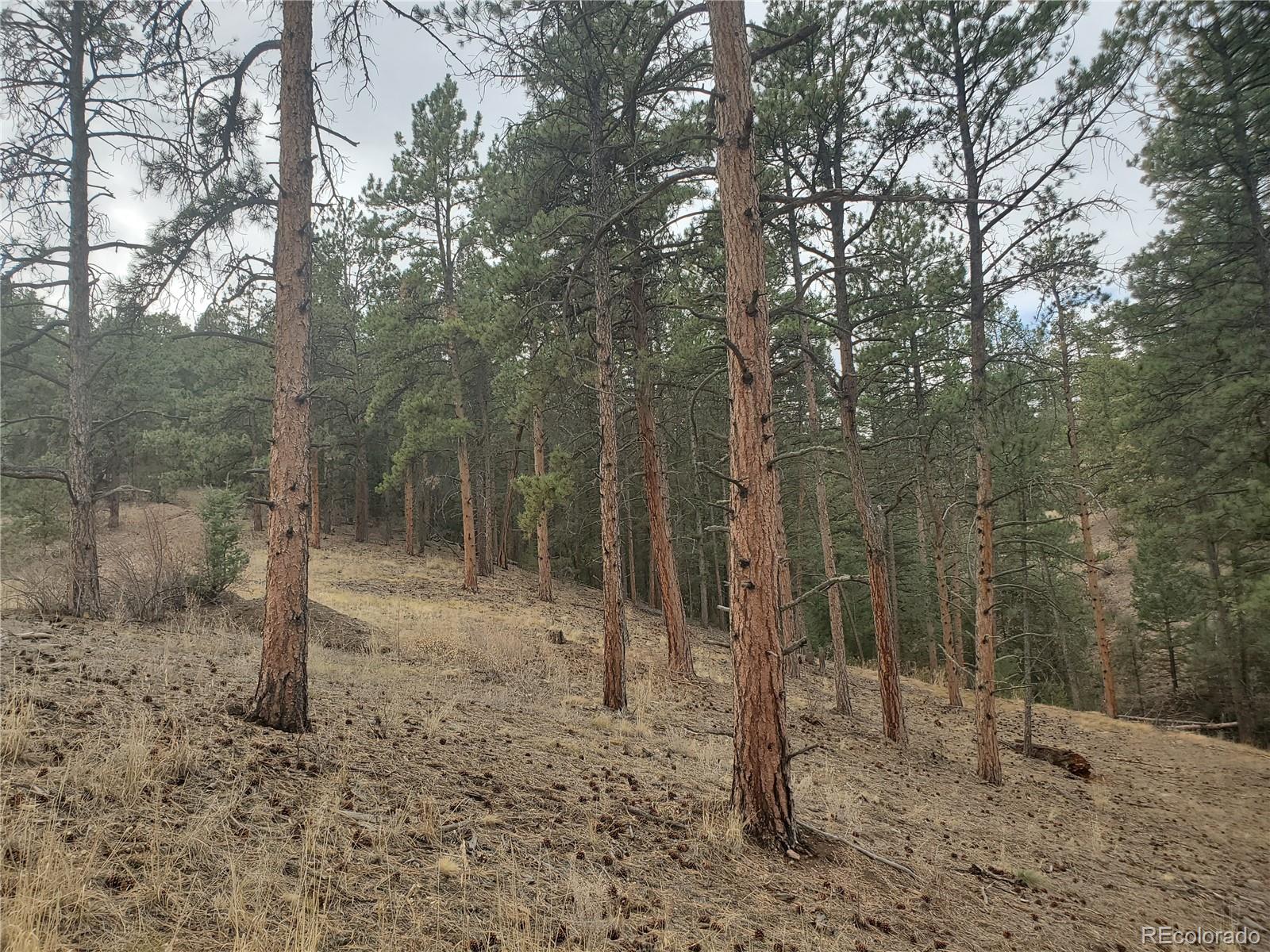 6 Turret Peak Road Pine, CO 80470 - Photo 10 of 15
