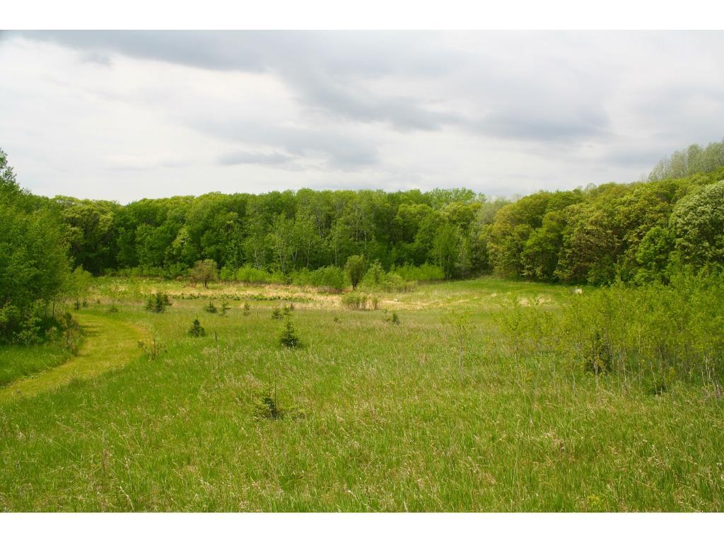 19952 Parkers Road Northeast Parkers Prairie, MN 56361 - Photo 1 of 1 Gallery Image 1