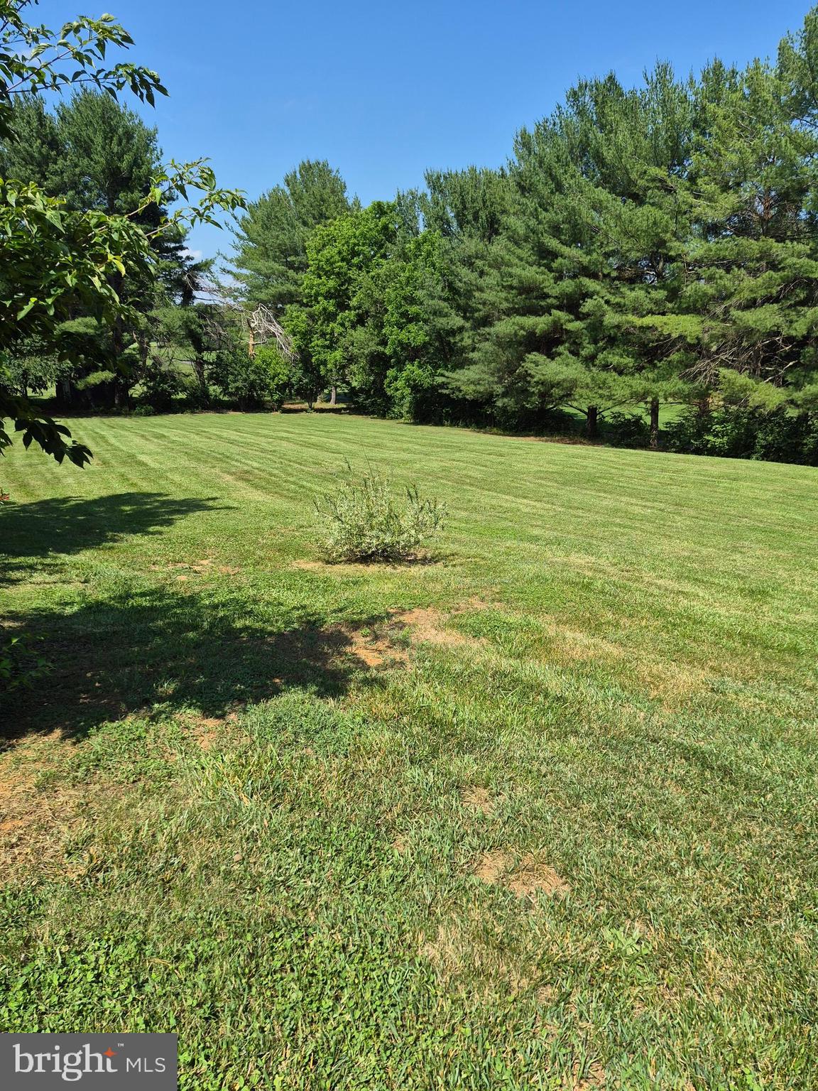 268 Bowling Green Road Front Royal, VA 22630 - Photo 40 of 41