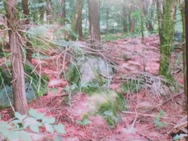 $49,900 | 107-11.1 Wood Lot Lane, Stoddard, NH 03464