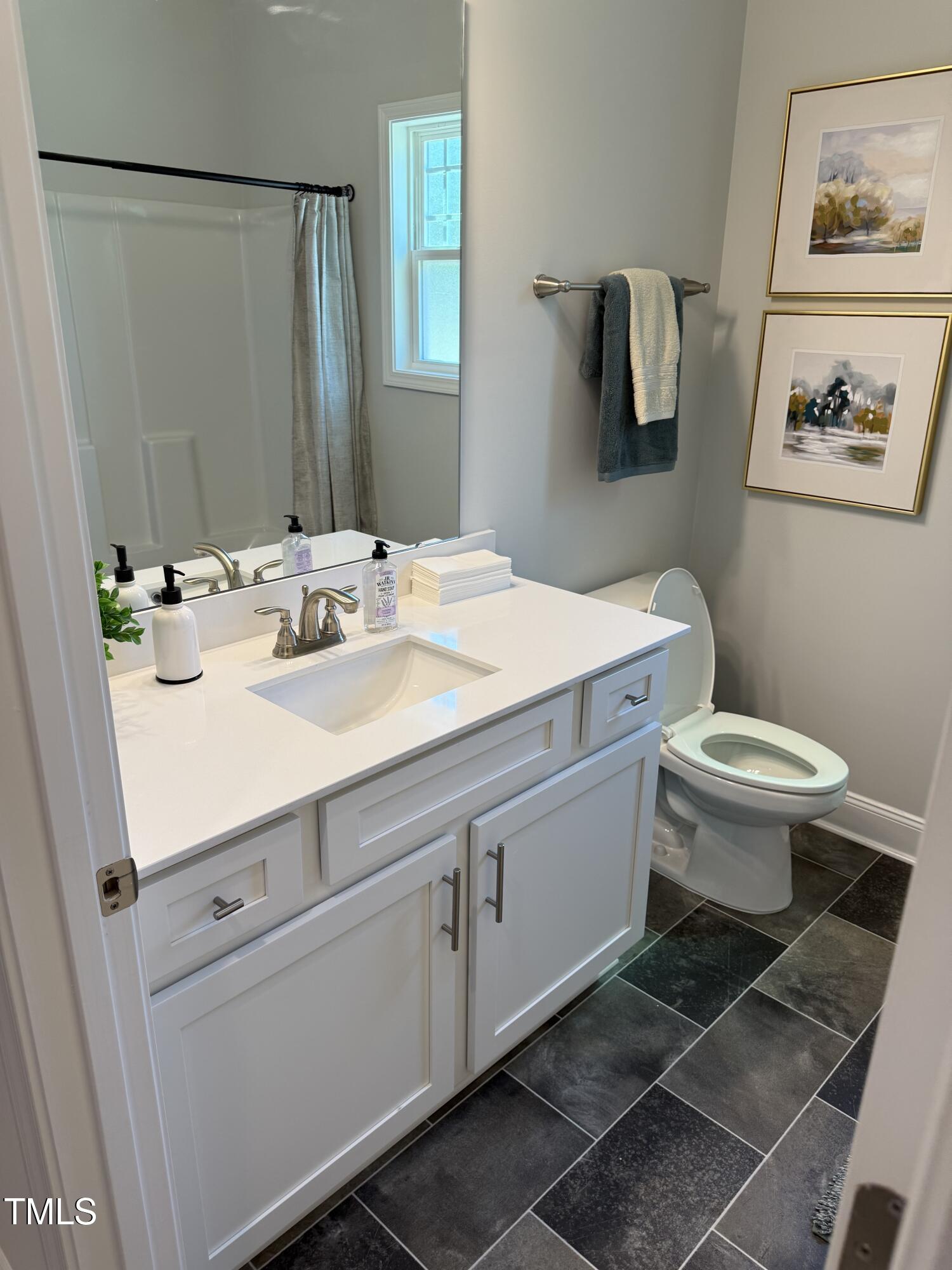 30 Lemon Drop Lane Louisburg, NC 27549 - Photo 6 of 21 a bathroom with a sink and a toilet
