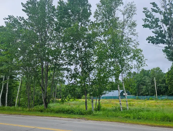 $25,000 | Lot 1 Kelly Lane, Millinocket, ME 04462