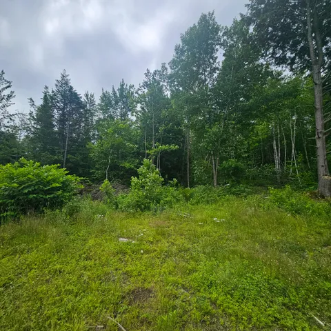 $39,900 | Lot 1 Kelly Lane, Millinocket, ME 04462