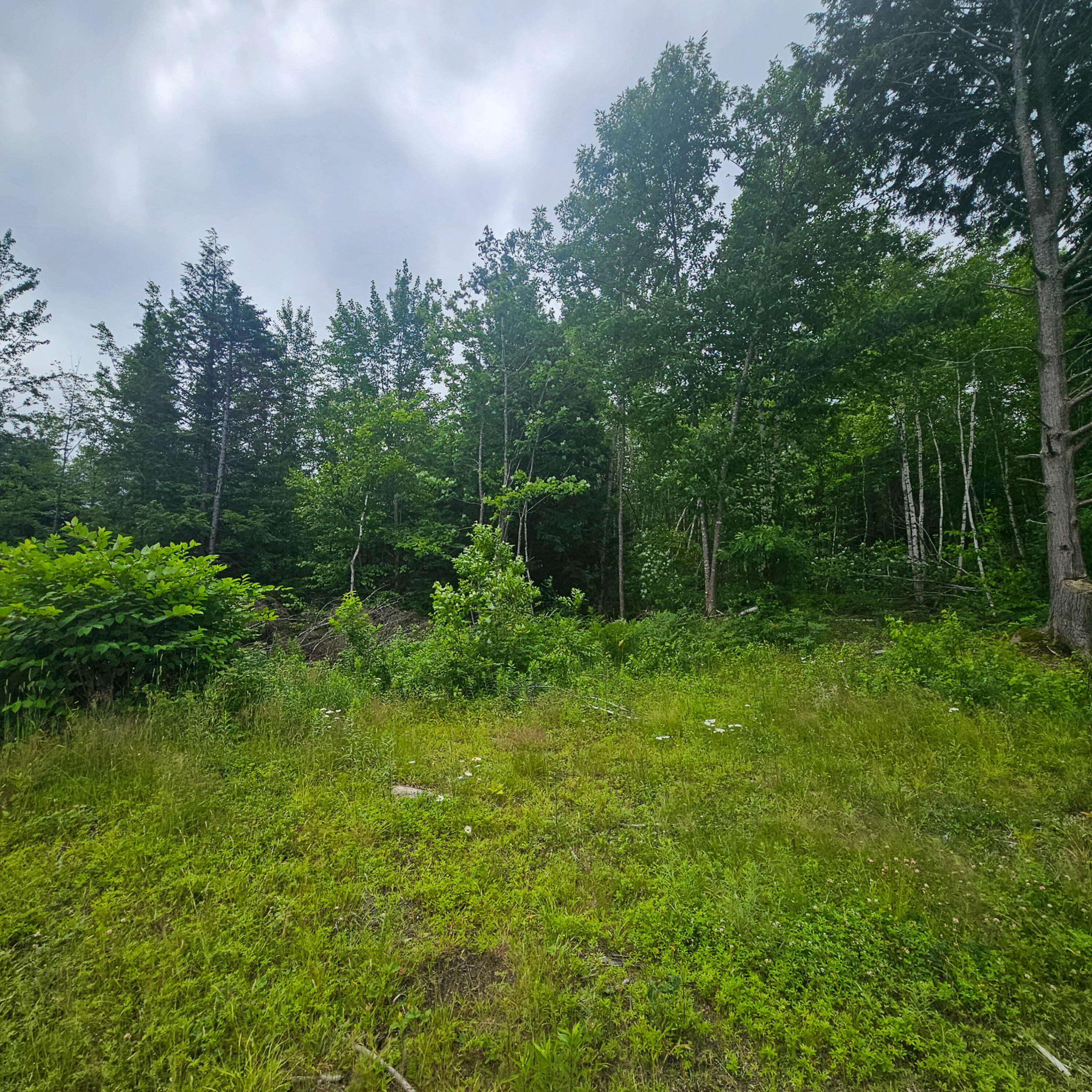 Lot 1 Kelly Lane Millinocket, ME 04462 - Photo 14 of 25 14
