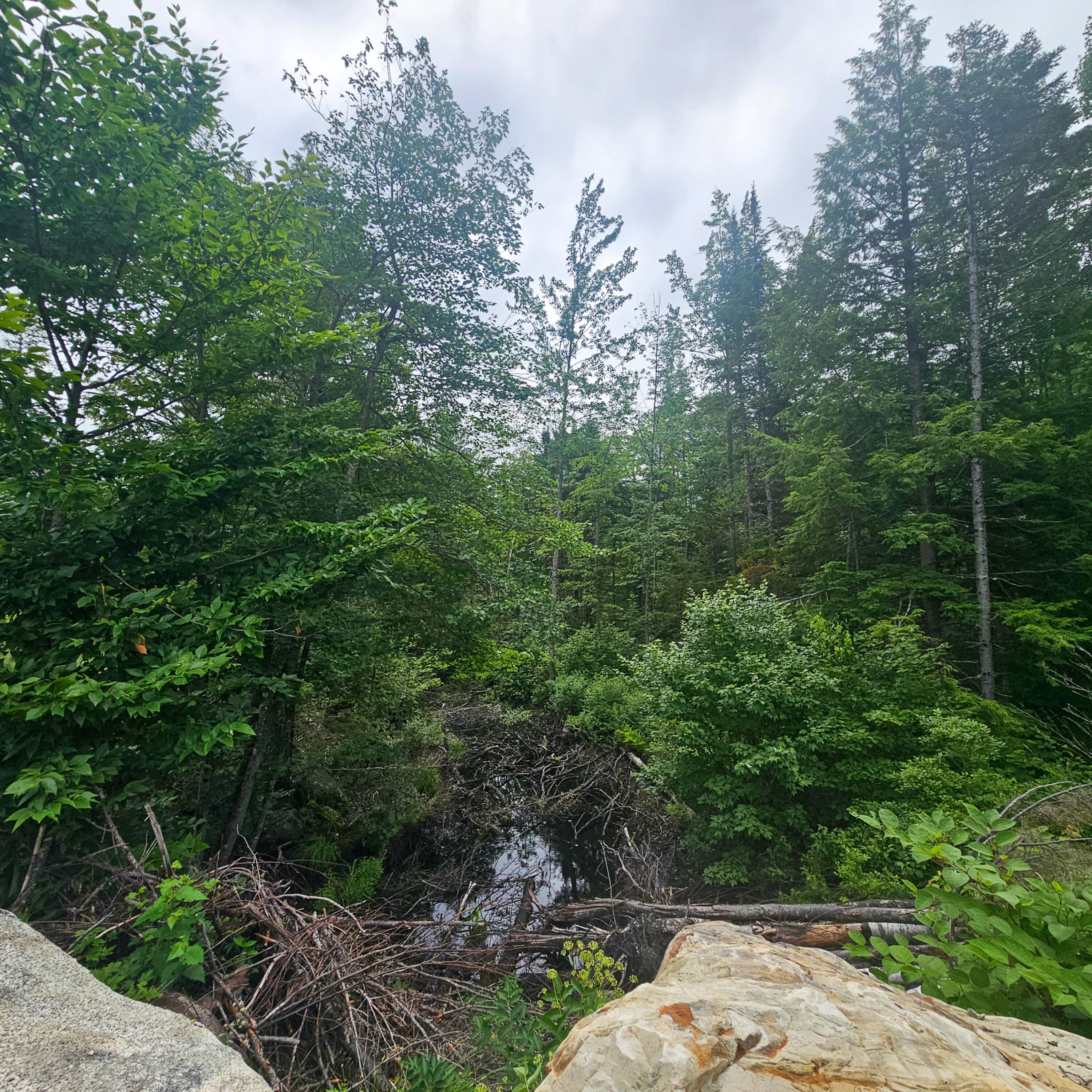 Lot 1 Kelly Lane Millinocket, ME 04462 - Photo 15 of 25 15