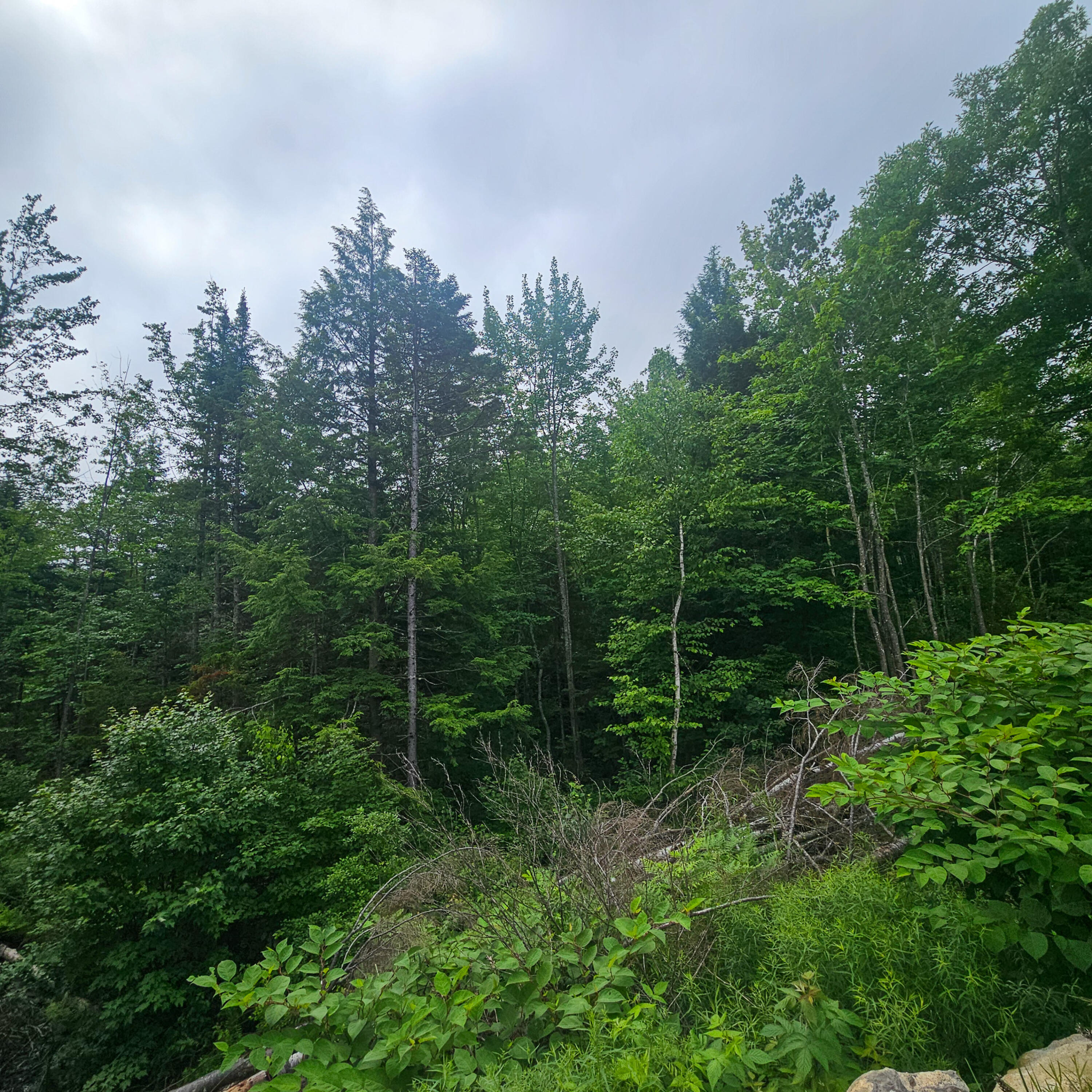 Lot 1 Kelly Lane Millinocket, ME 04462 - Photo 16 of 25 16