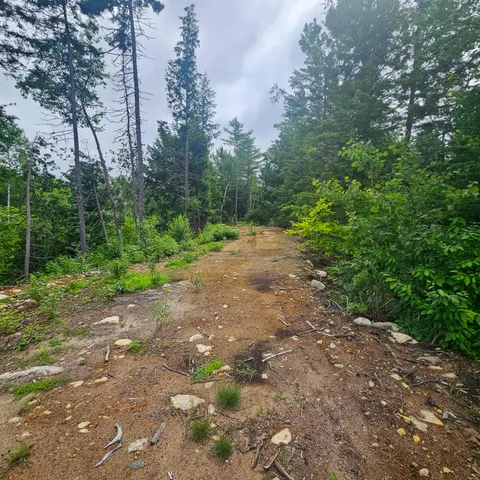 $39,900 | Lot 1 Kelly Lane, Millinocket, ME 04462