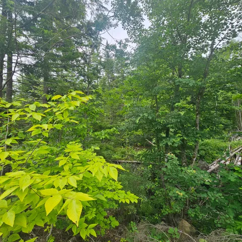 $39,900 | Lot 1 Kelly Lane, Millinocket, ME 04462