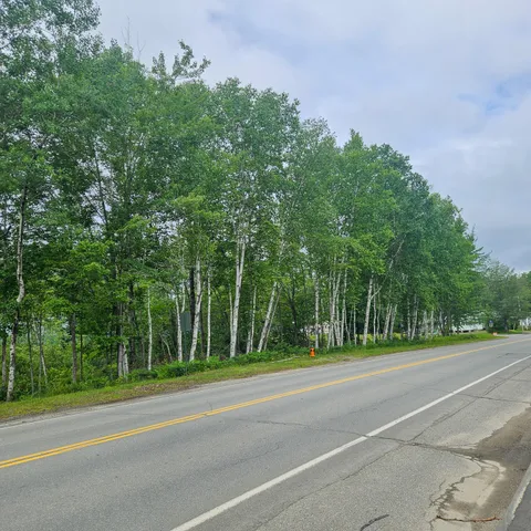 $39,900 | Lot 1 Kelly Lane, Millinocket, ME 04462