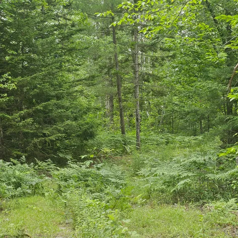 $39,900 | Lot 1 Kelly Lane, Millinocket, ME 04462