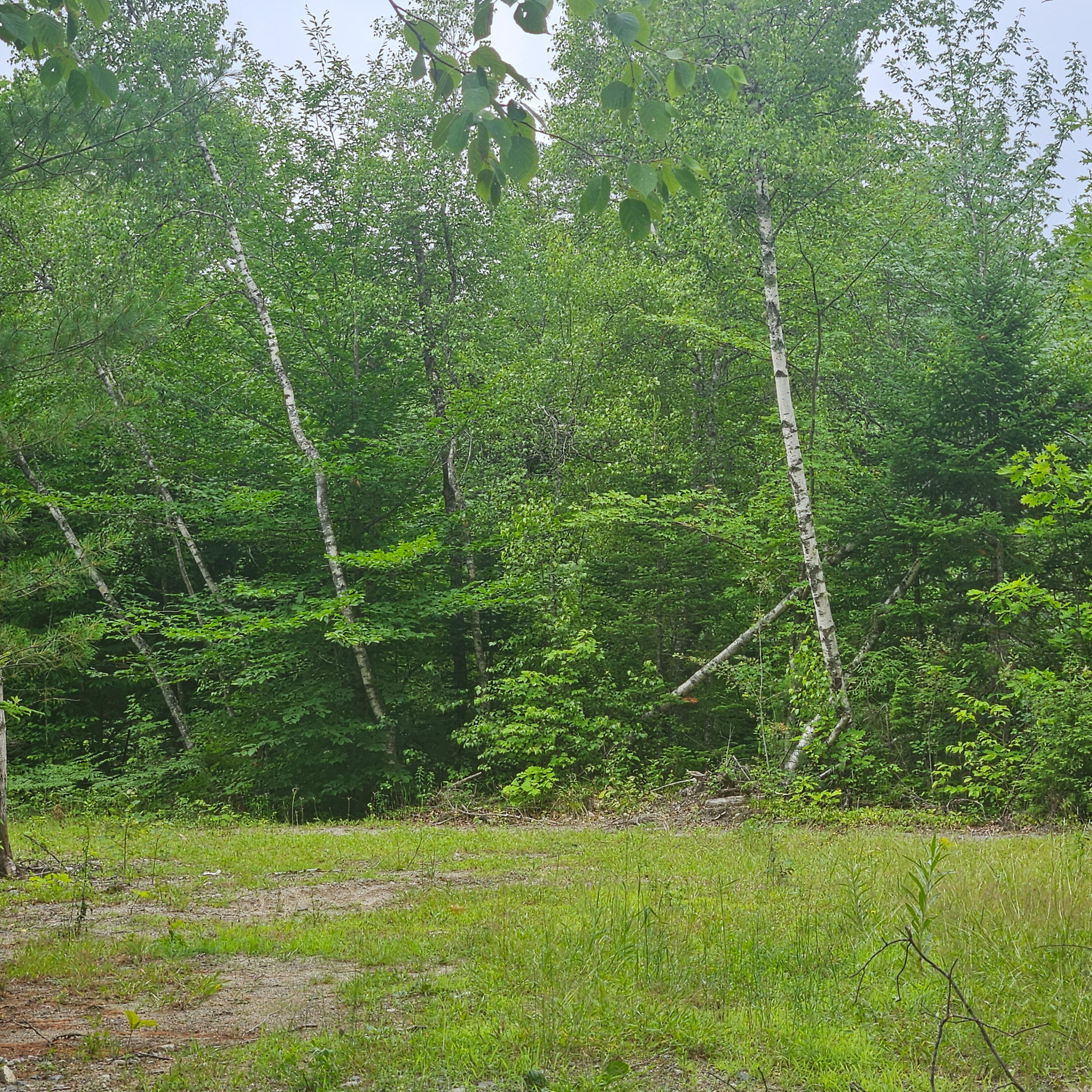 Lot 1 Kelly Lane Millinocket, ME 04462 - Photo 24 of 25 24