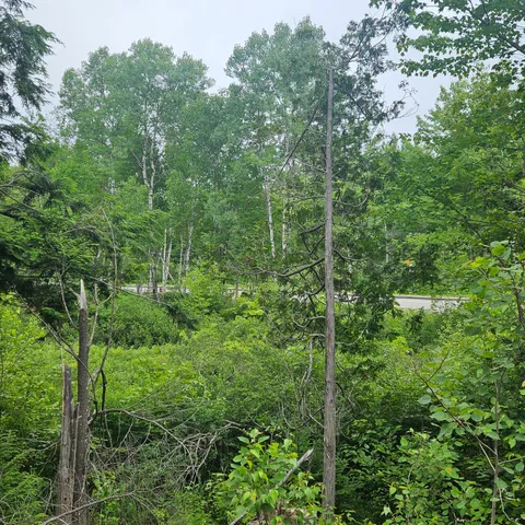 $39,900 | Lot 1 Kelly Lane, Millinocket, ME 04462