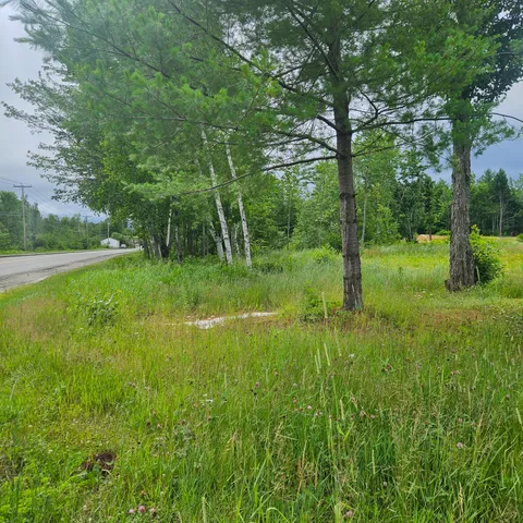$39,900 | Lot 1 Kelly Lane, Millinocket, ME 04462