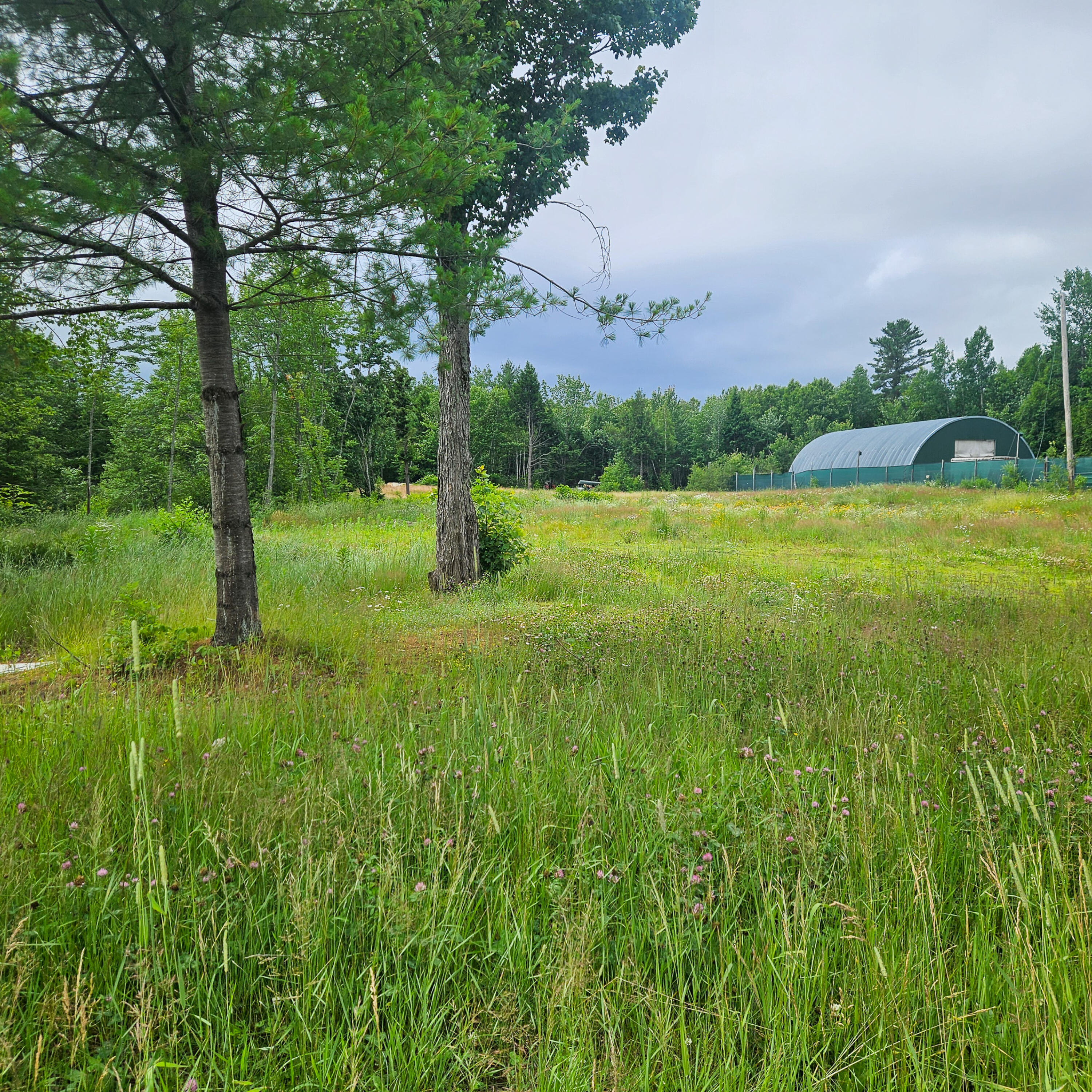 Lot 1 Kelly Lane Millinocket, ME 04462 - Photo 7 of 25 7