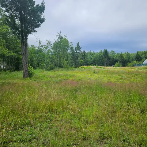 $39,900 | Lot 1 Kelly Lane, Millinocket, ME 04462