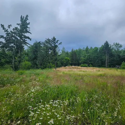 $39,900 | Lot 1 Kelly Lane, Millinocket, ME 04462