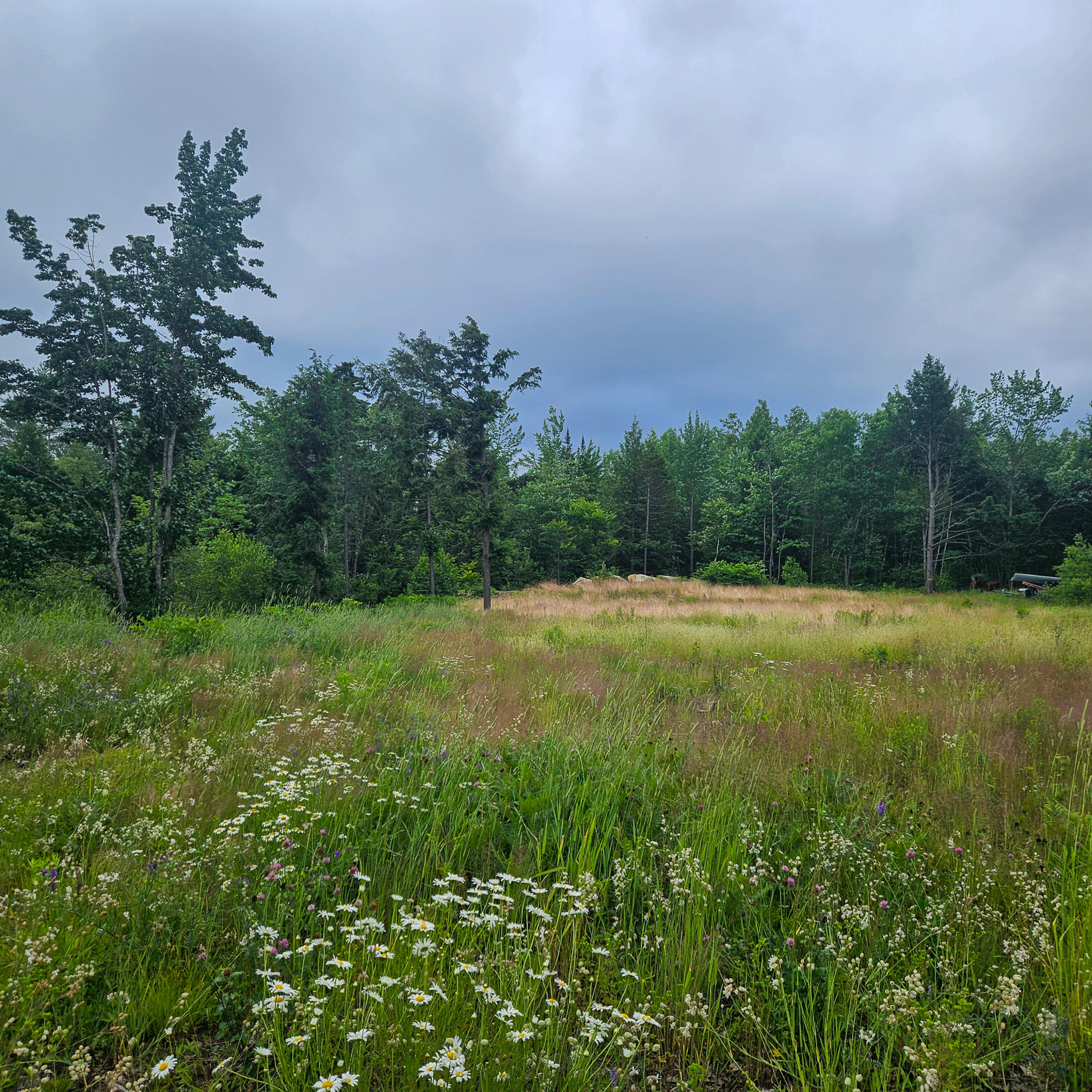 Lot 1 Kelly Lane Millinocket, ME 04462 - Photo 10 of 25 10