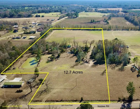 $98,000 | 12.7-acres Nobles Road, Dothan, AL 36301