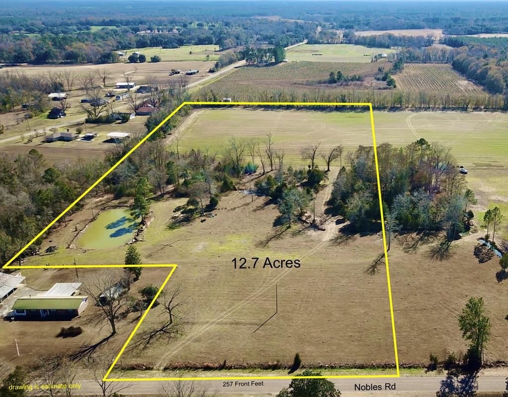 12.7-acres Nobles Road Dothan, AL 36301 - Photo 1 of 41