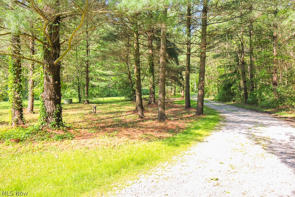 12544 Sheldon Road Mantua, OH 44255 - Photo 29 of 31 Picturesque tree-lined driveway - what a way to be welcomed home!