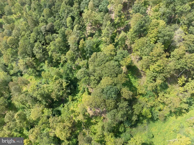 $598,000 | Tiger Valley Road, Buffalo Mills, PA 15534