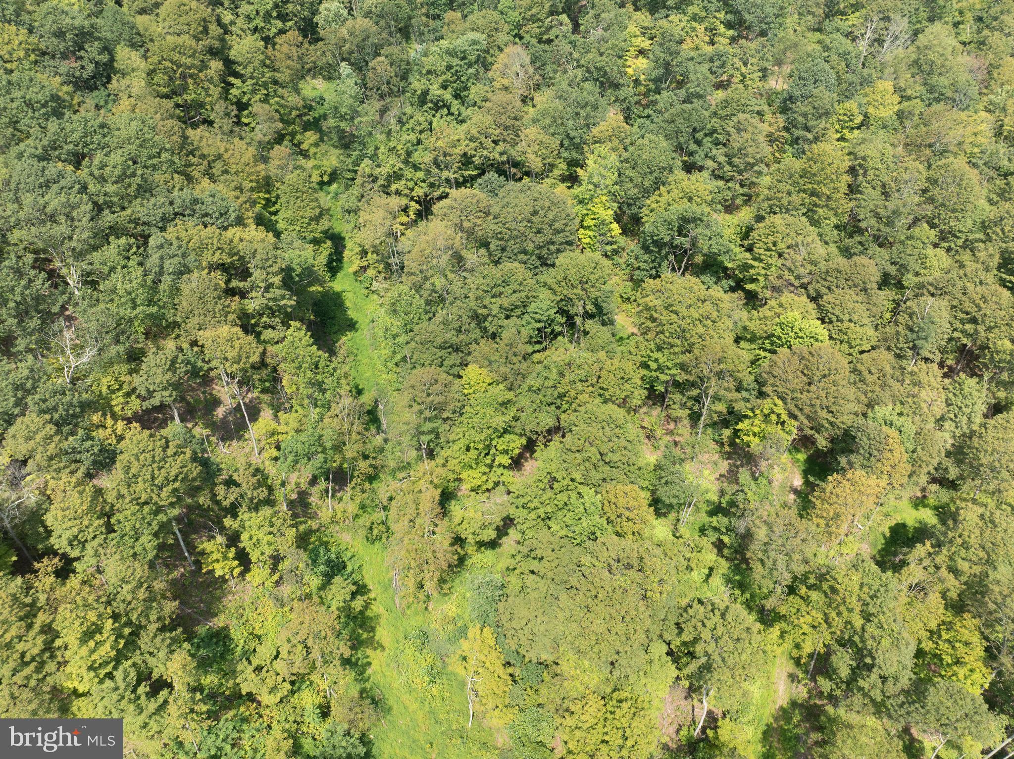 Tiger Valley Road Buffalo Mills, PA 15534 - Photo 14 of 47 a view of a big yard of the house