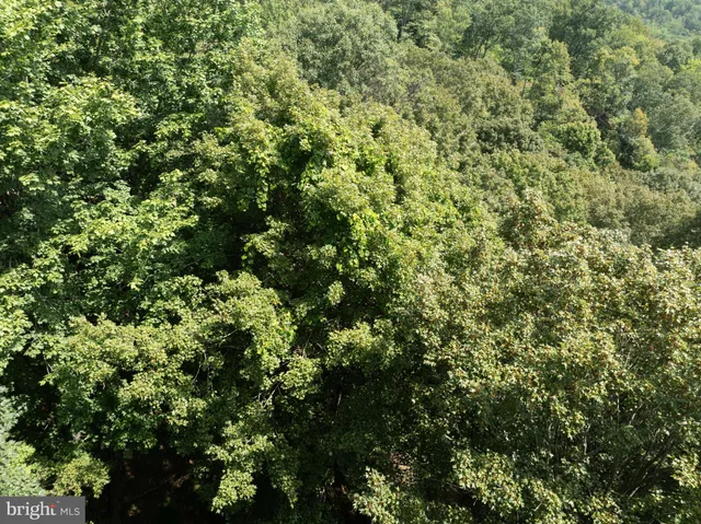 $598,000 | Tiger Valley Road, Buffalo Mills, PA 15534