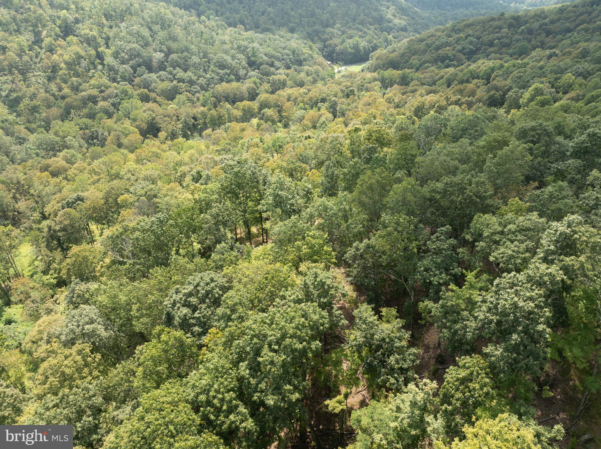 Tiger Valley Road Buffalo Mills, PA 15534 - Photo 22 of 47 a view of a field
