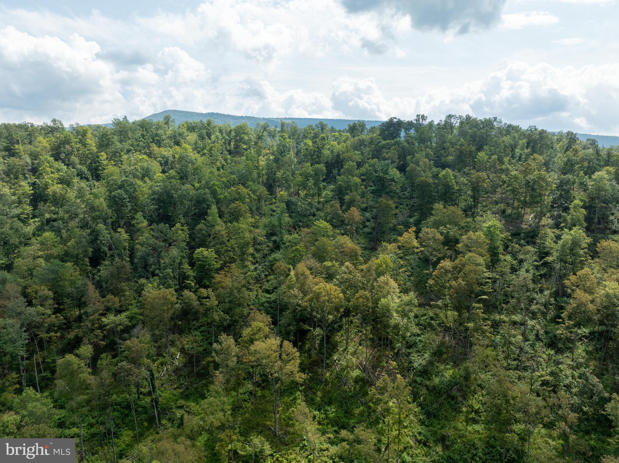 Tiger Valley Road Buffalo Mills, PA 15534 - Photo 25 of 47 an aerial view of residential house with outdoor space and trees around