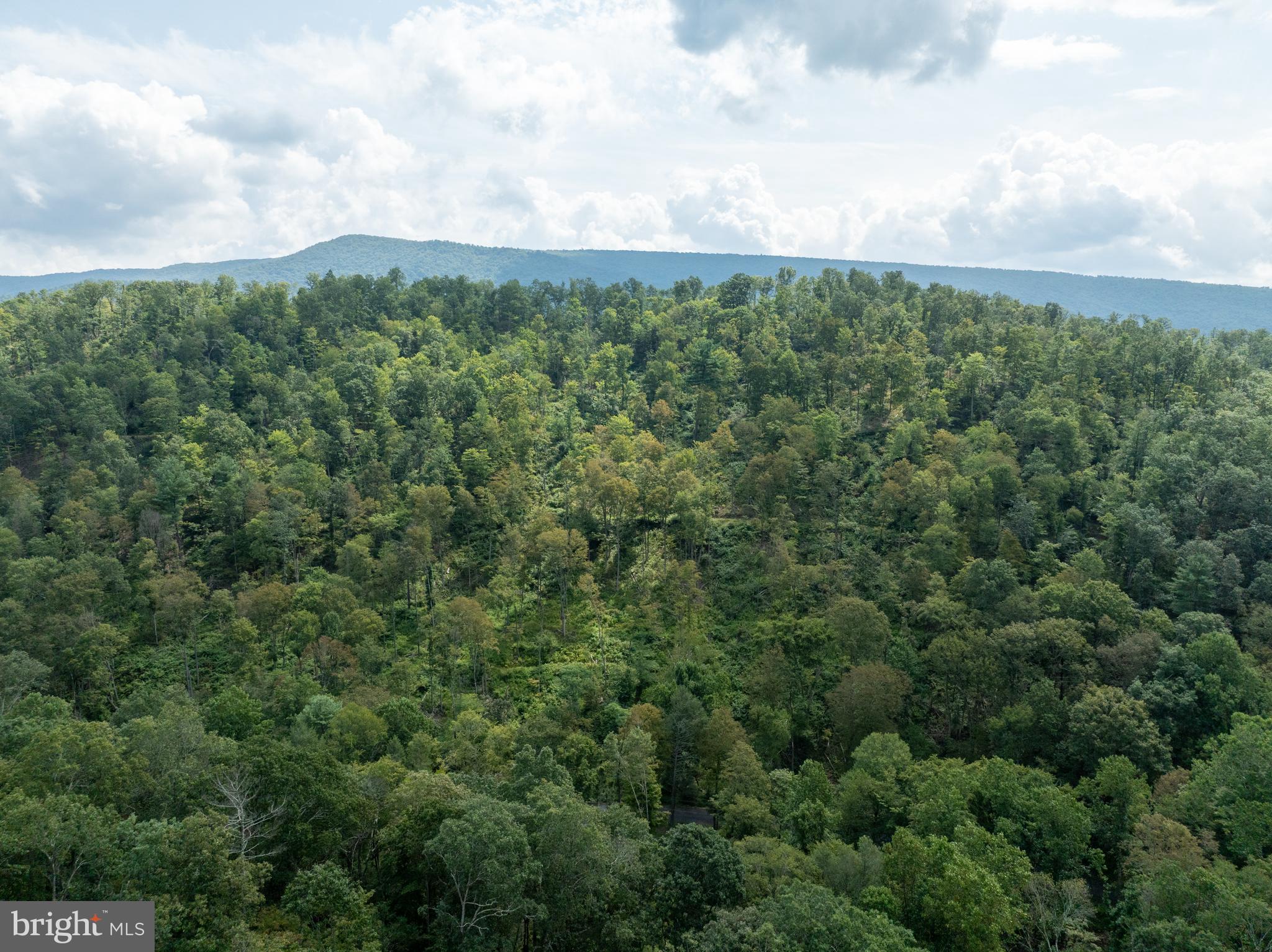 Tiger Valley Road Buffalo Mills, PA 15534 - Photo 26 of 47 an aerial view of houses covered in trees