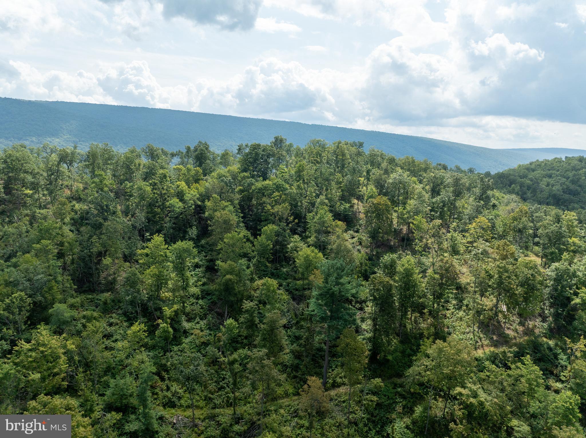 Tiger Valley Road Buffalo Mills, PA 15534 - Photo 27 of 47 an aerial view of a city and mountain view