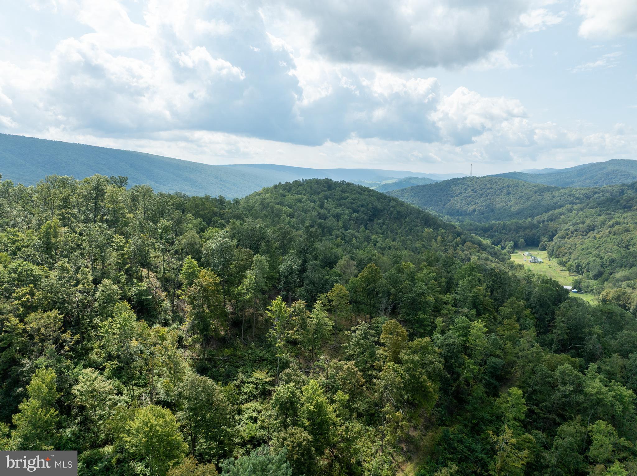 Tiger Valley Road Buffalo Mills, PA 15534 - Photo 29 of 47 an aerial view of houses covered in trees