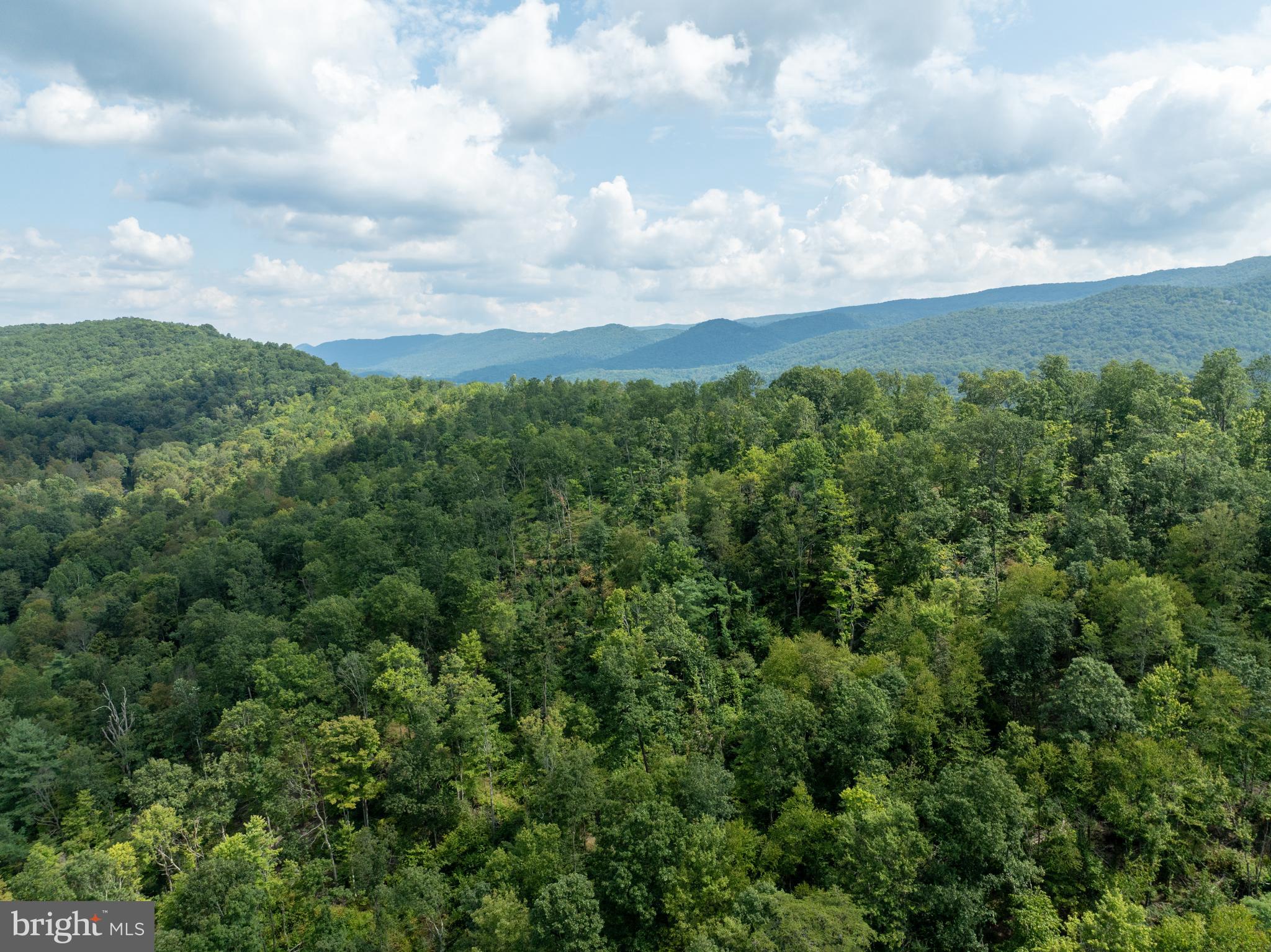 Tiger Valley Road Buffalo Mills, PA 15534 - Photo 30 of 47 an aerial view of houses covered in trees