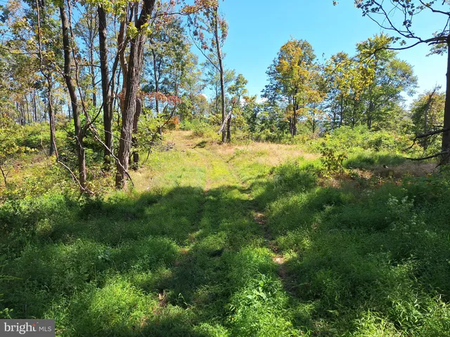 $598,000 | Tiger Valley Road, Buffalo Mills, PA 15534