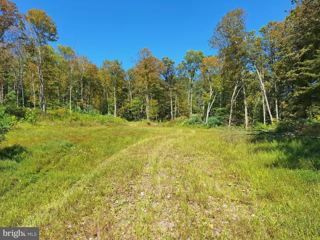 $598,000 | Tiger Valley Road, Buffalo Mills, PA 15534