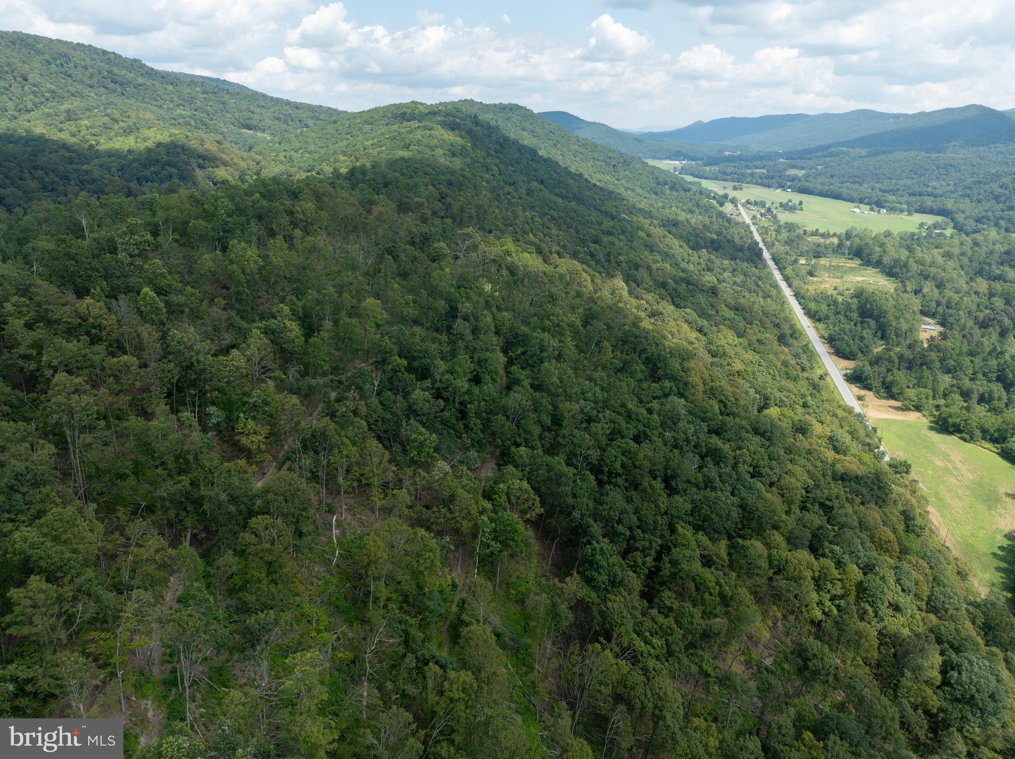 Tiger Valley Road Buffalo Mills, PA 15534 - Photo 43 of 47 a view of a mountain in the distance in a field