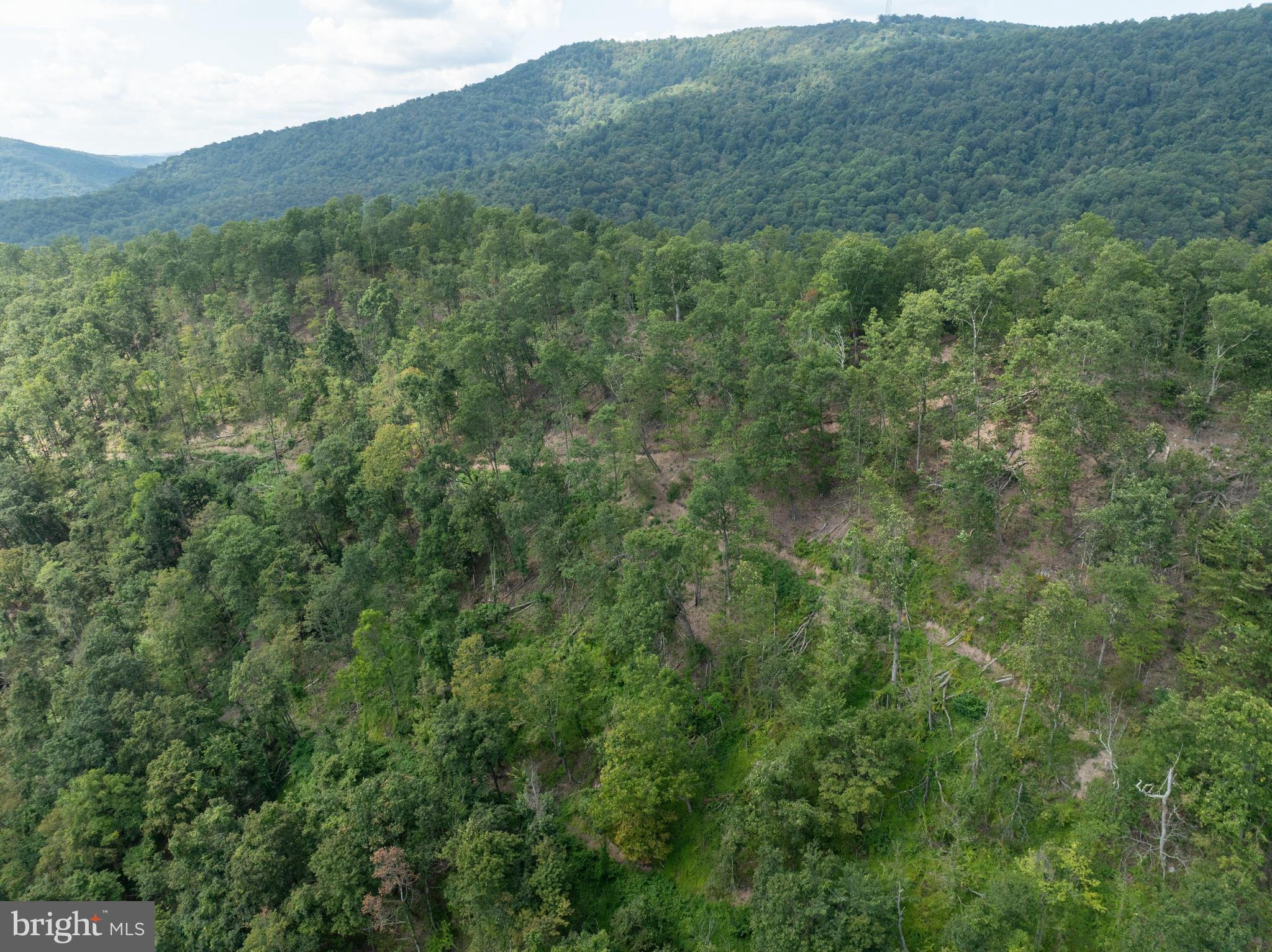 Tiger Valley Road Buffalo Mills, PA 15534 - Photo 44 of 47 a view of a lush green forest with a mountain