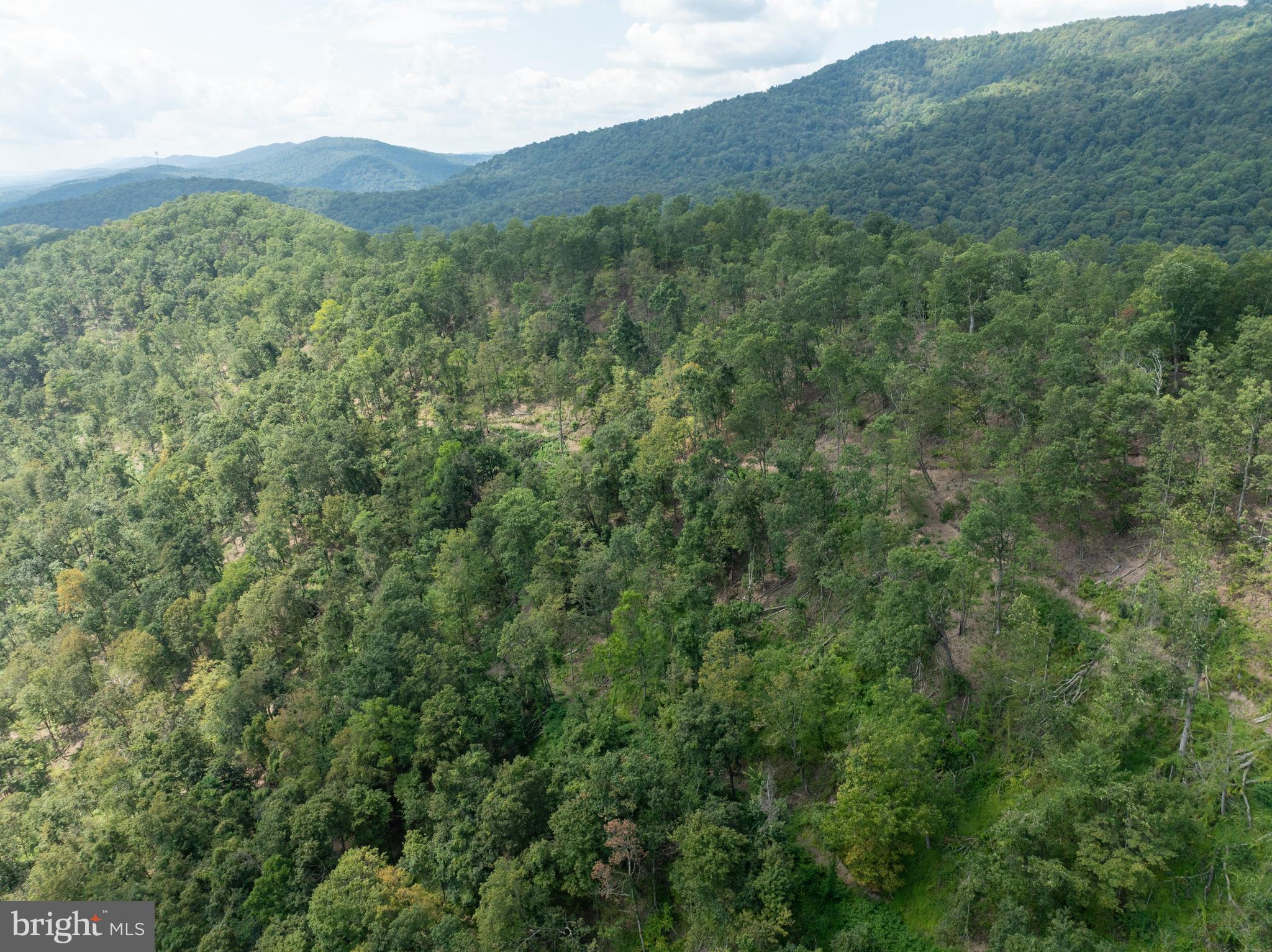 Tiger Valley Road Buffalo Mills, PA 15534 - Photo 45 of 47 a view of a mountain range with lush green forest