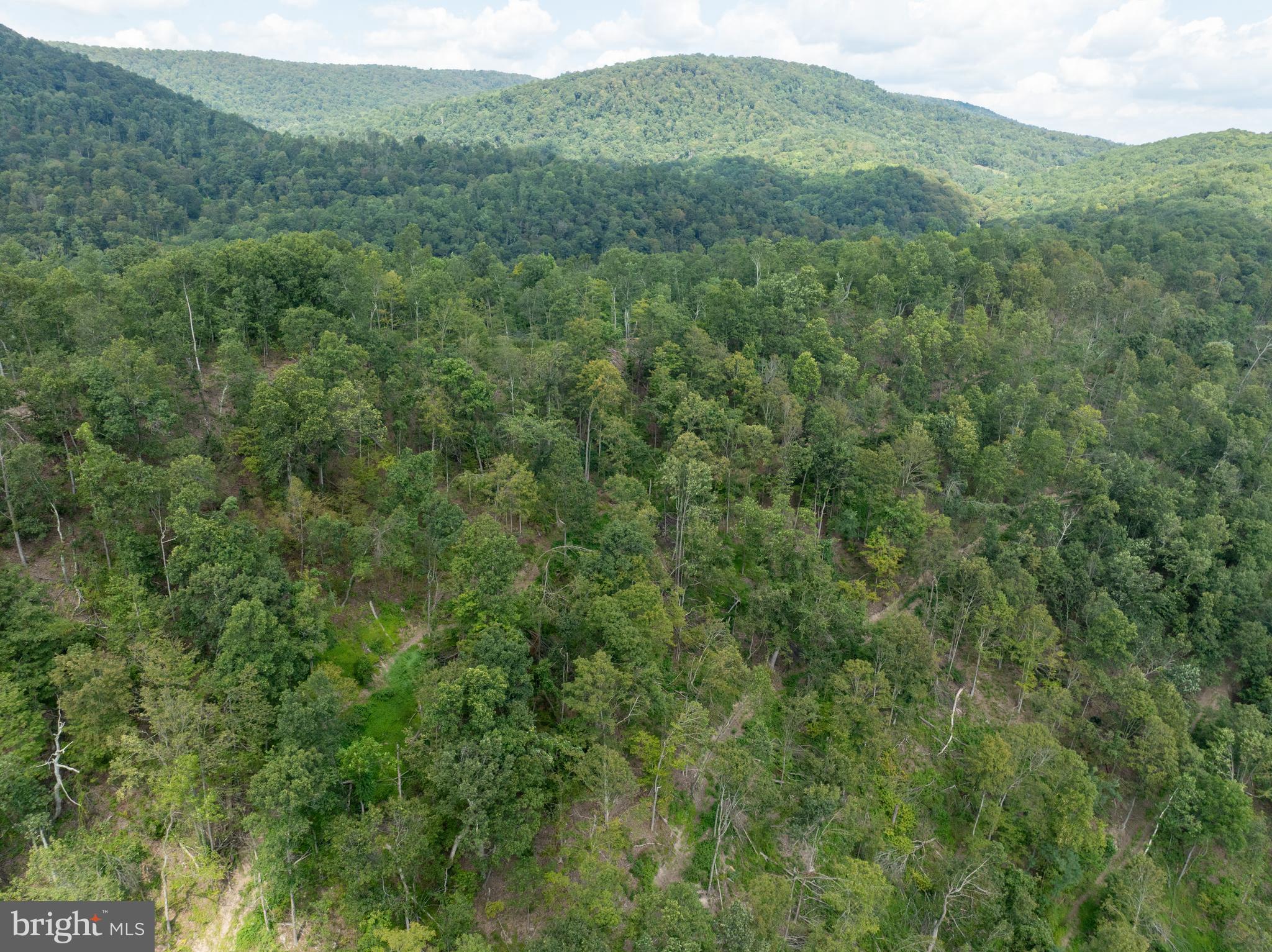 Tiger Valley Road Buffalo Mills, PA 15534 - Photo 46 of 47 a view of a lush green forest with lush green forest