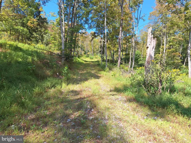 $598,000 | Tiger Valley Road, Buffalo Mills, PA 15534