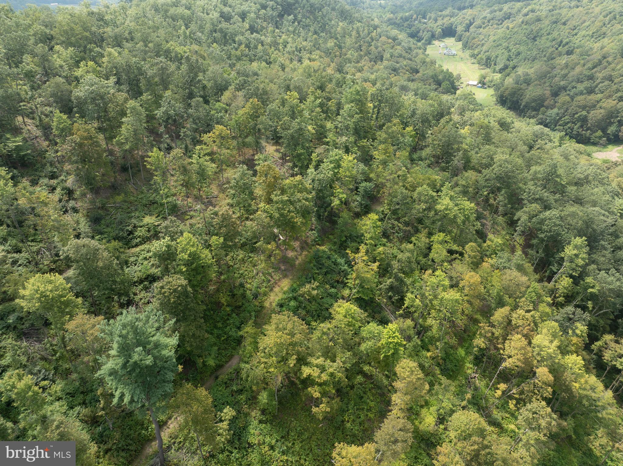 Tiger Valley Road Buffalo Mills, PA 15534 - Photo 7 of 47