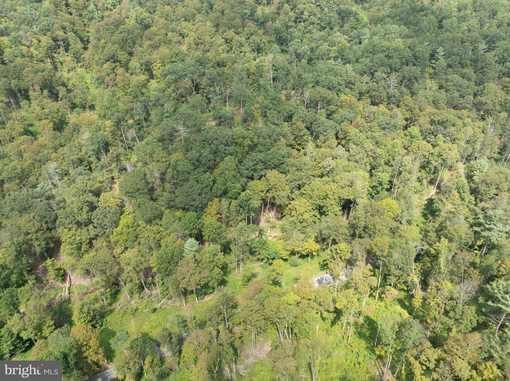 Tiger Valley Road Buffalo Mills, PA 15534 - Photo 8 of 47 a view of a field of grass and trees