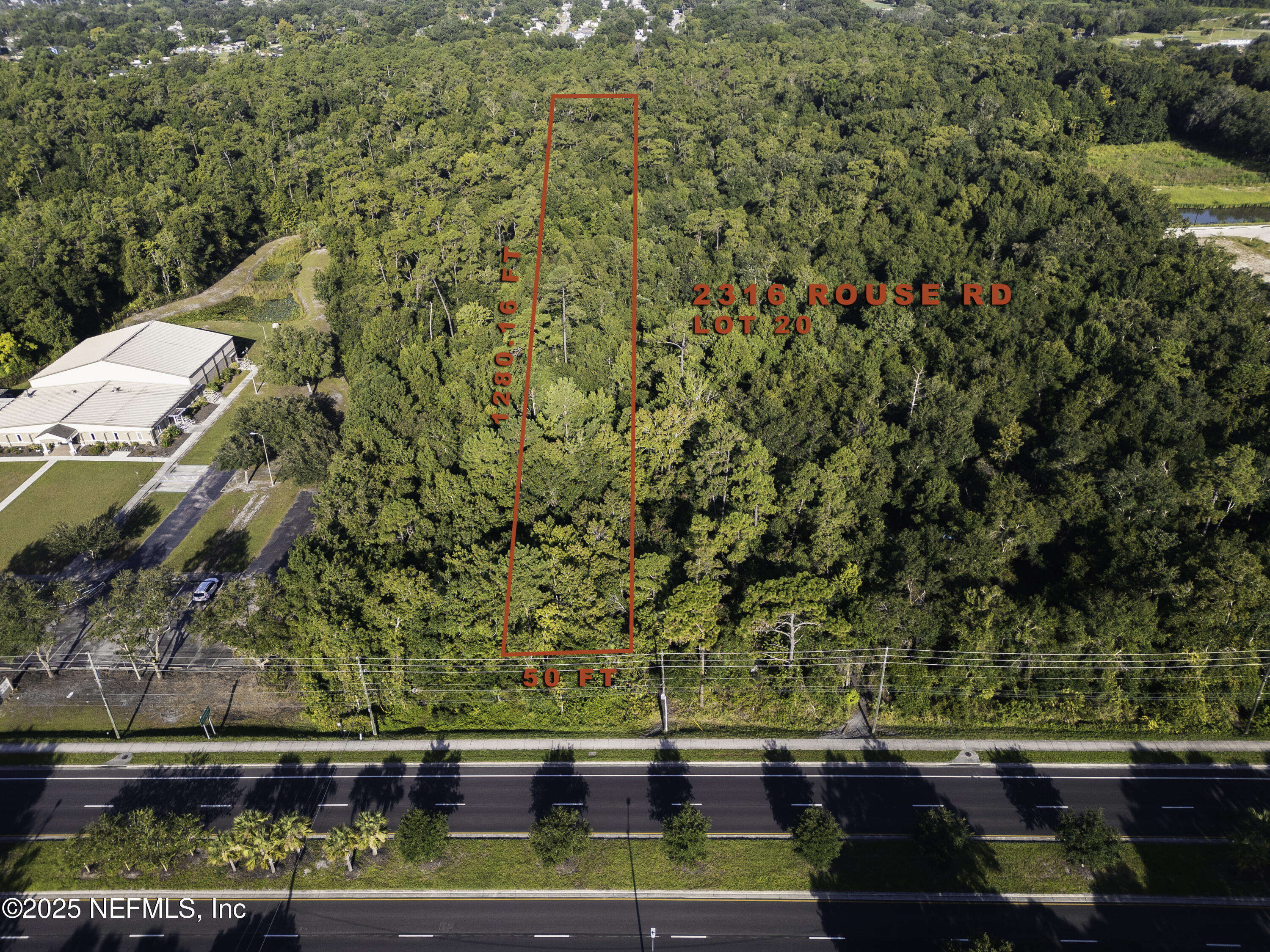 2316 Rouse Road Orlando, FL 32817 - Photo 3 of 13 a view of swimming pool with a yard and plants