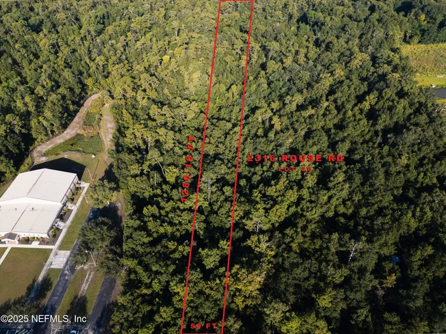 a view of a yard with plants and trees