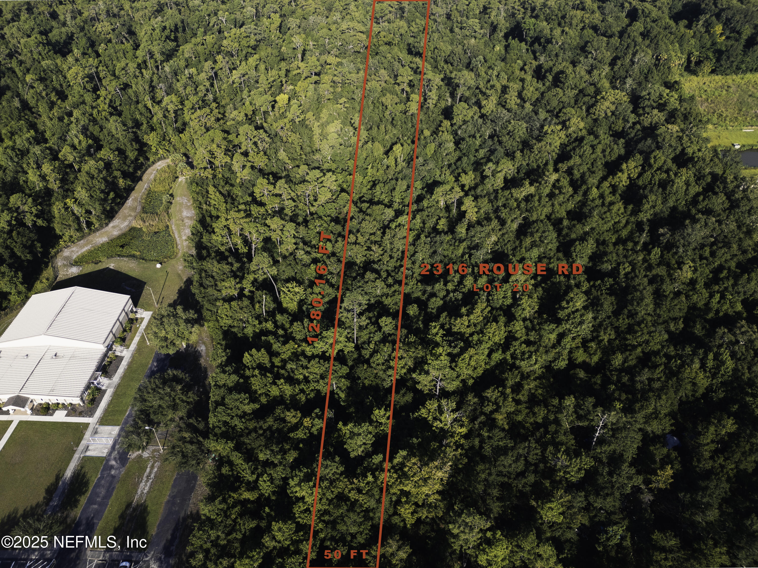 2316 Rouse Road Orlando, FL 32817 - Photo 4 of 13 a view of a yard with plants and trees