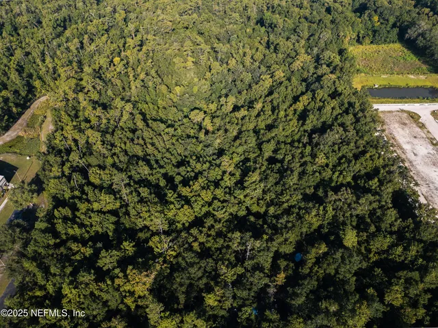a view of a yard with plants