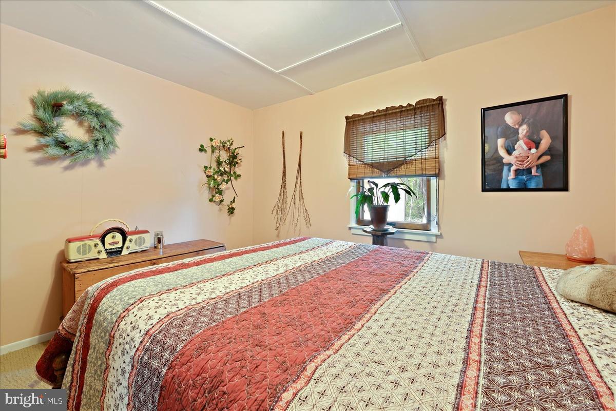 588 Smokestown Road Denver, PA 17517 - Photo 16 of 30 Bedroom 2