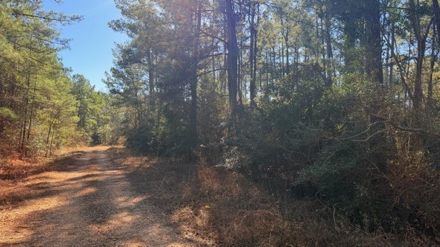 Tbd Preacher Denson Road Cleveland, TX 77328 - Photo 3 of 7 a view of a yard with trees in the background