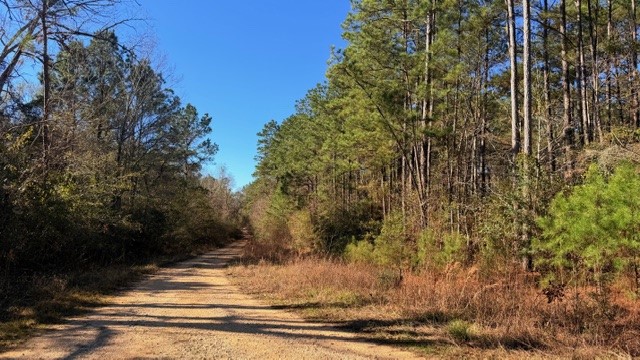 Tbd Preacher Denson Road Cleveland, TX 77328 - Photo 4 of 7 a view of a yard